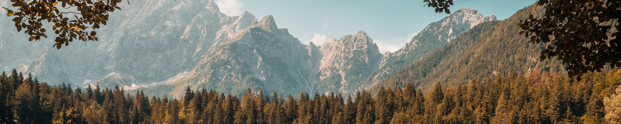 Vista montagne e pineta